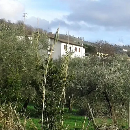 Locazione Turistica Il Bosco * Ponzano Magra
