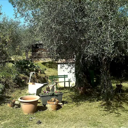 Locazione Turistica Il Bosco 아파트